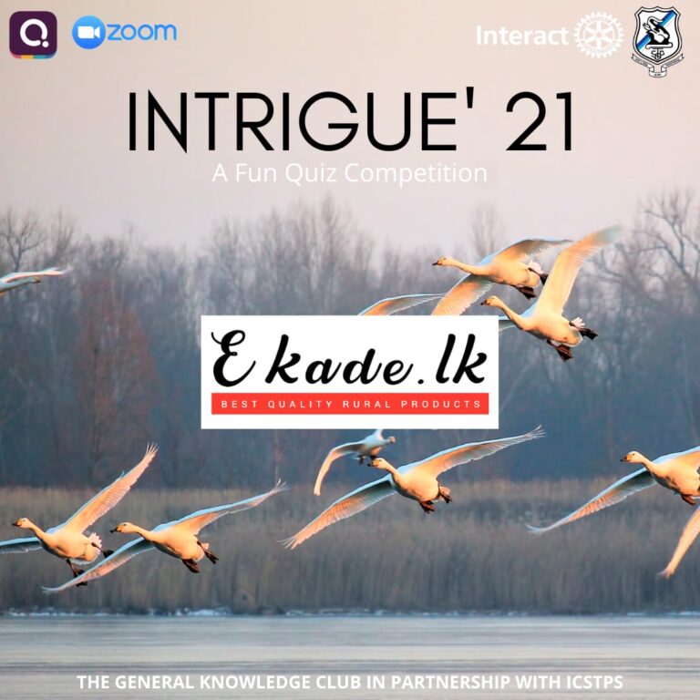 Intrigue’21