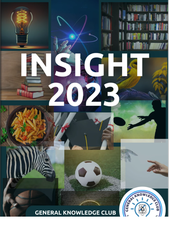 Insight 2023