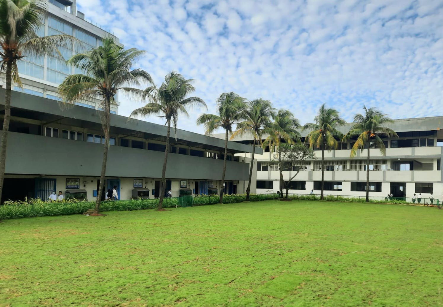 The Quadrangle